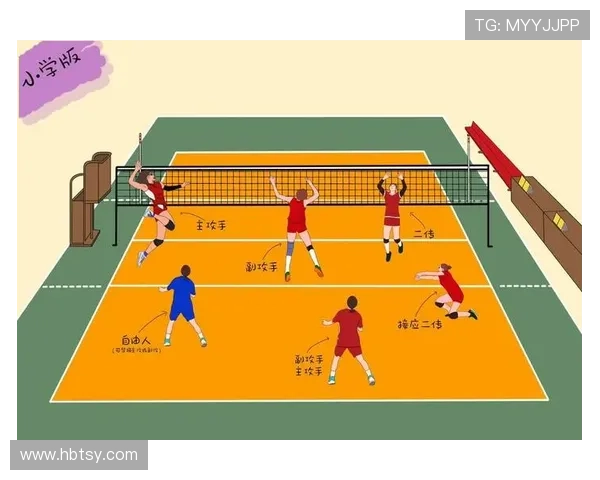 赛后分析:北京排球队与西安排球队的战术配合与表现评估